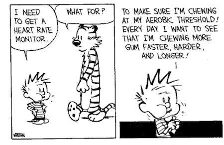 Bill Watterson unknowingly wrote the perfect strip for this book.