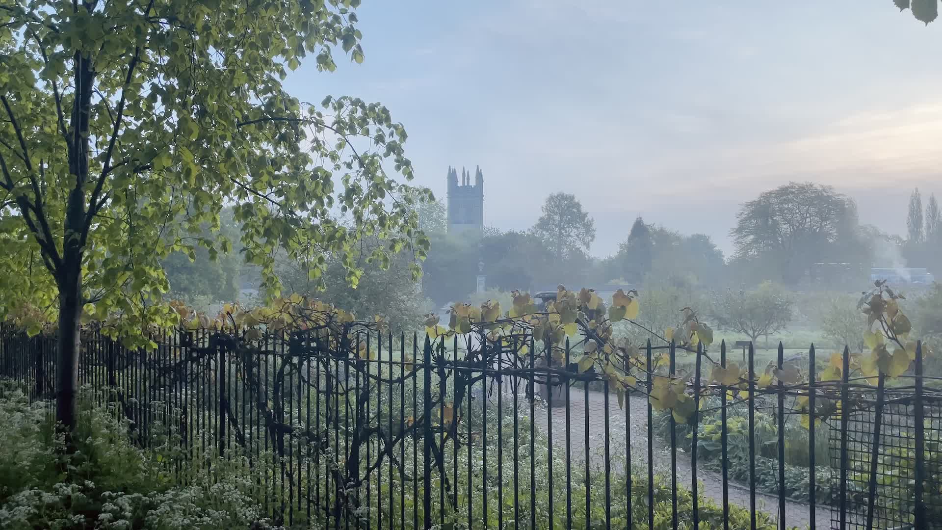 May Morning, Oxford (click for video)